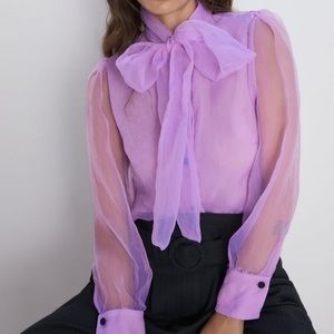 Zara Purple Lilac Mesh Organza Button Down Top - Small